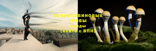 МДМА Бугульма